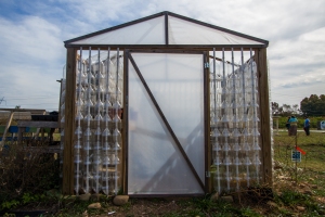 Greenhouse constructed out of recycled 2 liter bottles